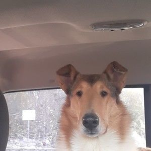 Meet your Posher, Posh